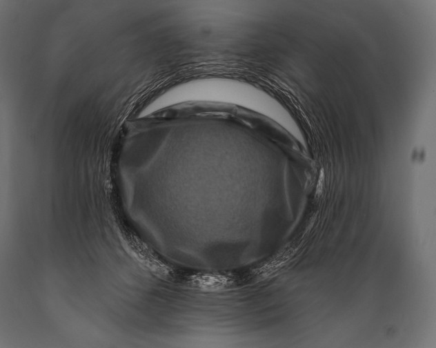 X0000088880512200706291606