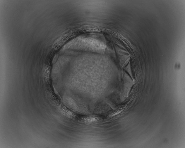 X0000088880513200706291606