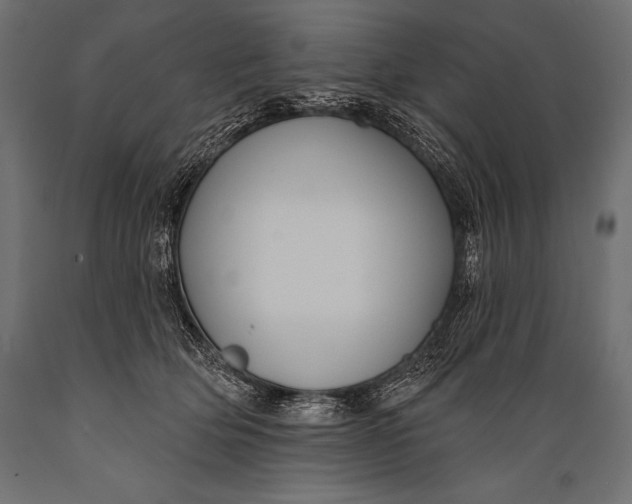 X0000088880514200706291606