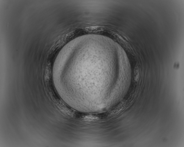 X0000088880515200706291606