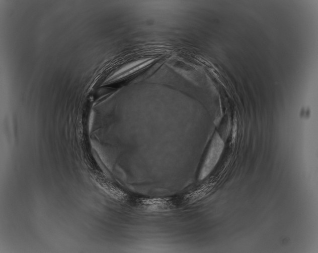 X0000088880516200706291606