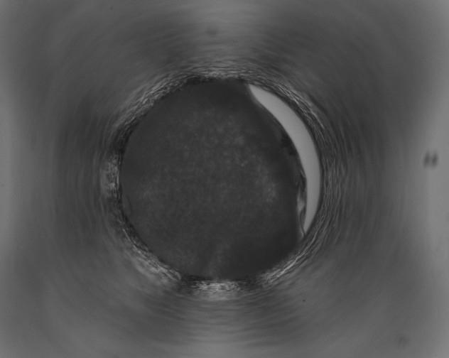 X0000088880517200706291606