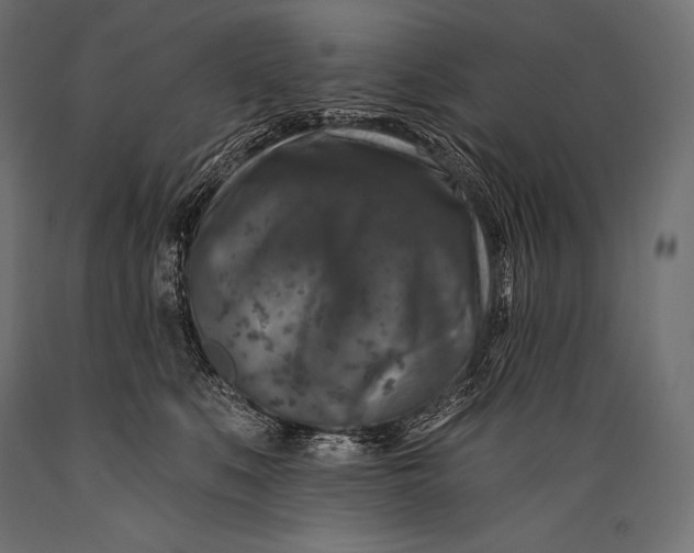 X0000088880519200706291606