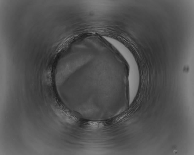 X0000088880520200706291606