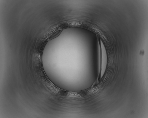 X0000088880521200706291606