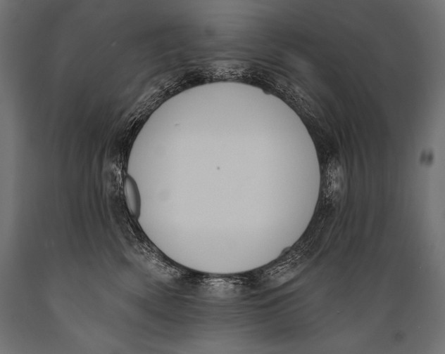 X0000088880522200706291606