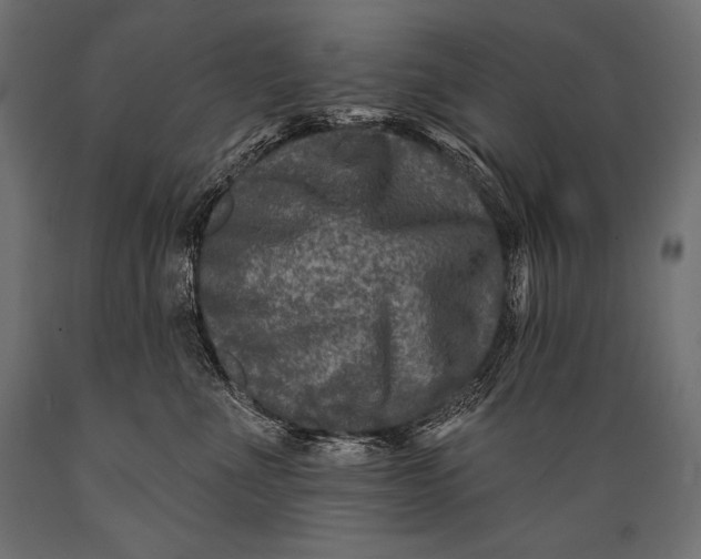 X0000088880523200706291606