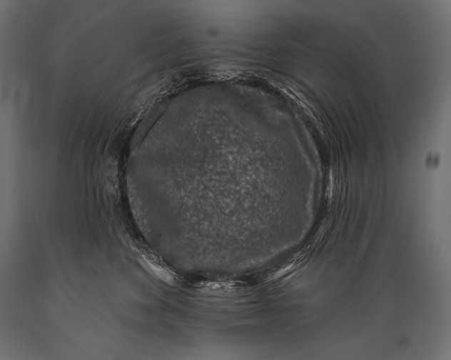 X0000088880524200706291606