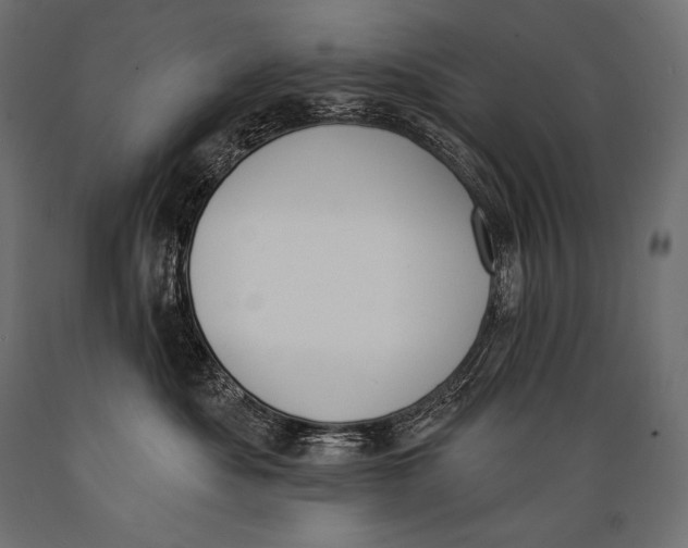 X0000088880525200706291606