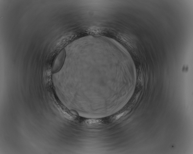 X0000088880526200706291606