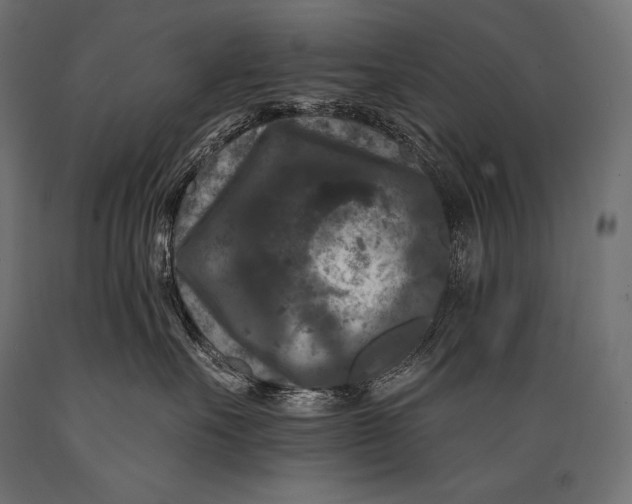 X0000088880527200706291606