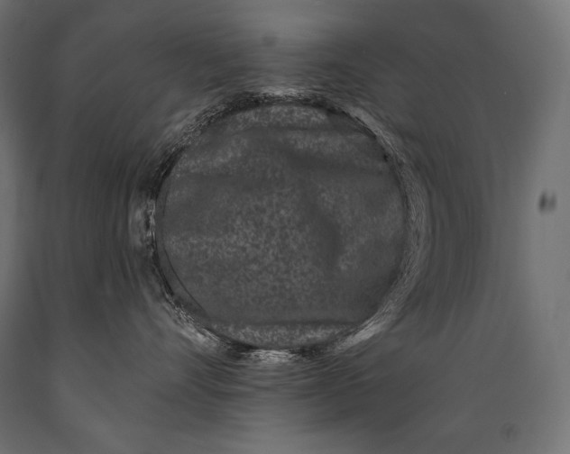 X0000088880528200706291606