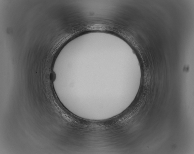 X0000088880529200706291605