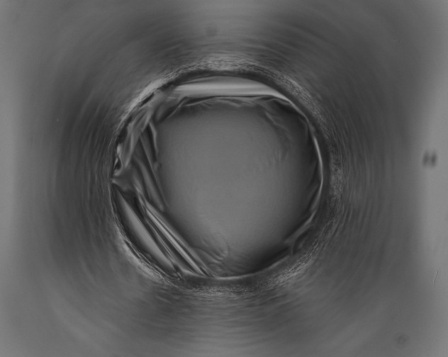 X0000088880530200706291605