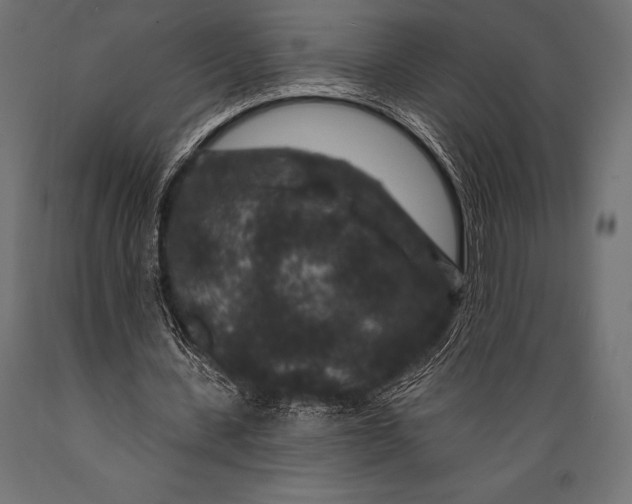 X0000088880531200706291605