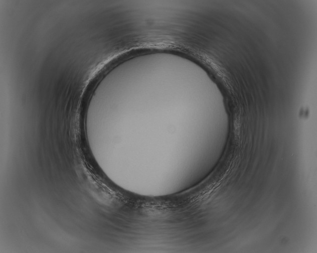 X0000088880532200706291605