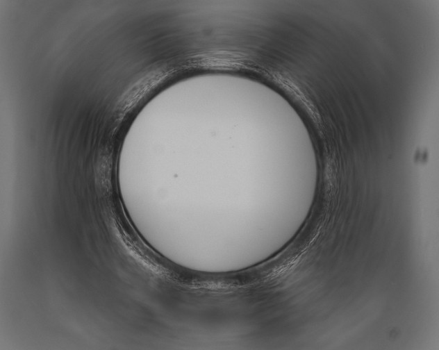 X0000088880533200706291605