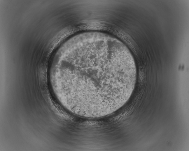 X0000088880534200706291605