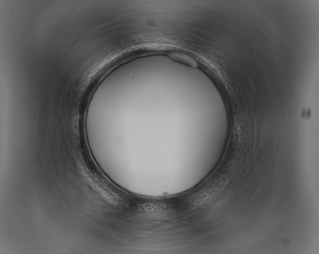 X0000088880535200706291605