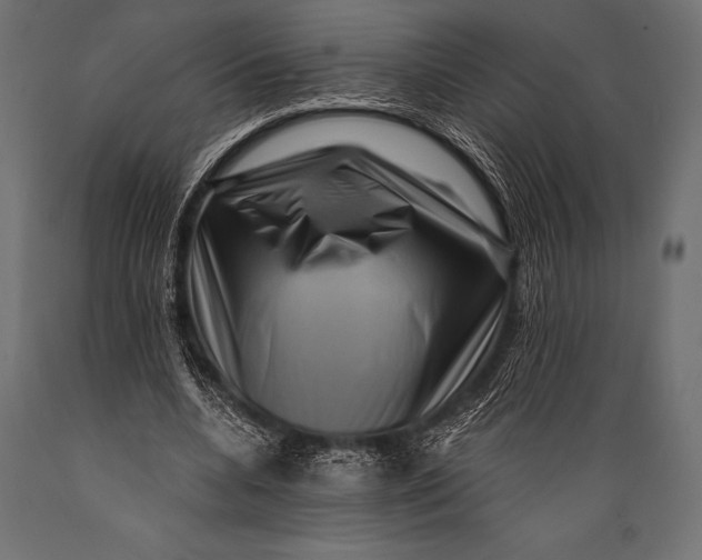 X0000088880536200706291605