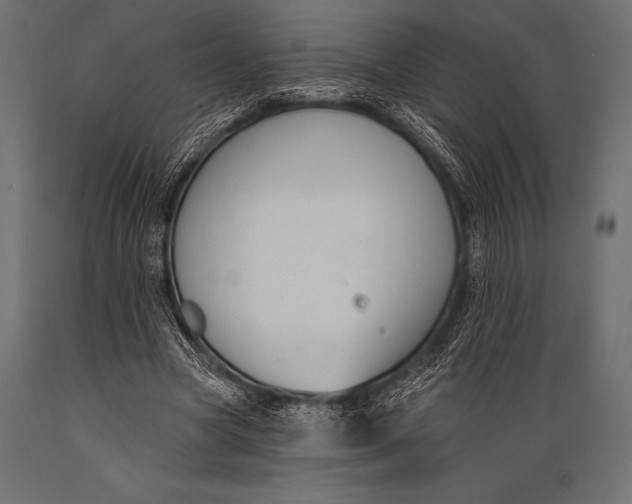 X0000088880537200706291606