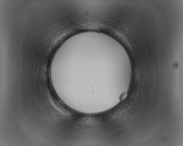 X0000088880538200706291606