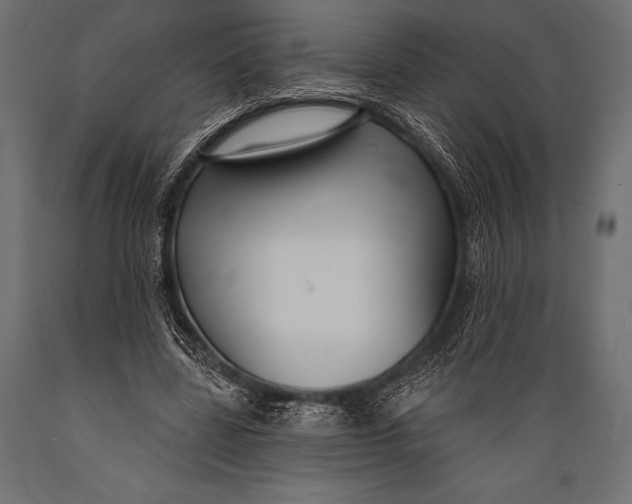 X0000088880539200706291606