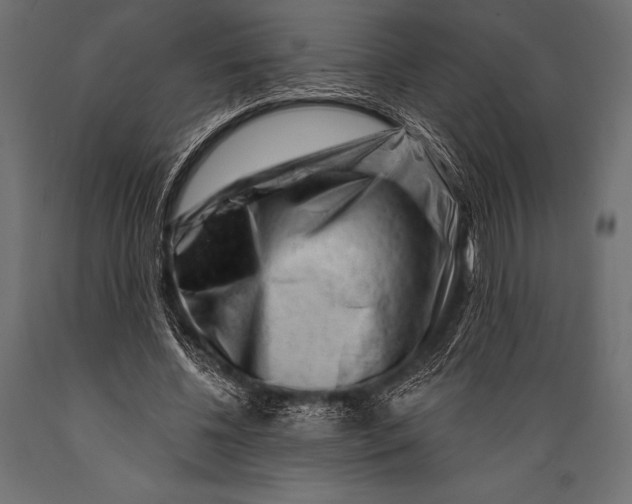 X0000088880540200706291606