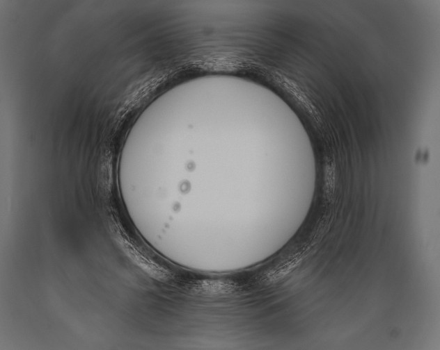 X0000088880541200706291606