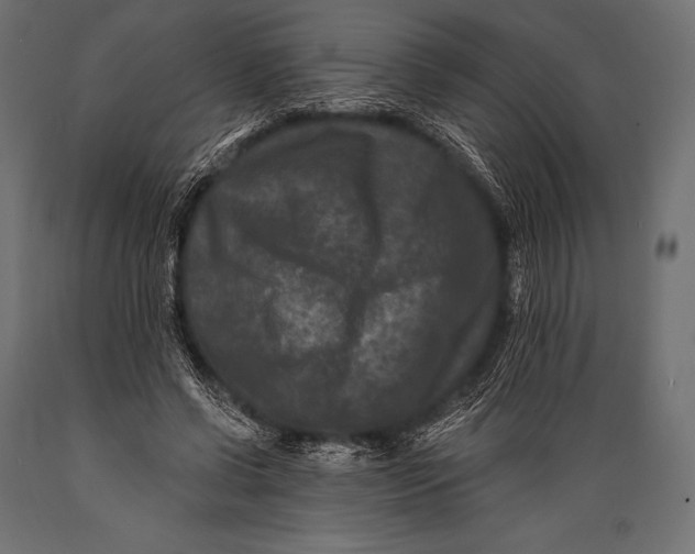 X0000088880542200706291606