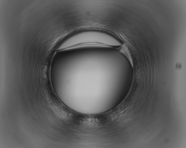 X0000088880543200706291606