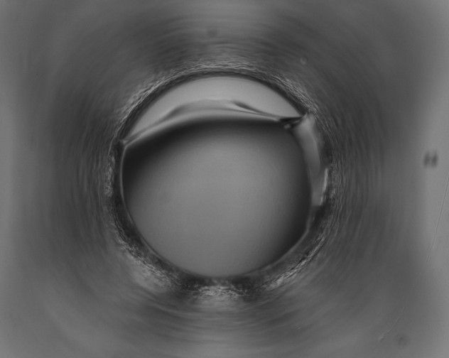 X0000088880544200706291606