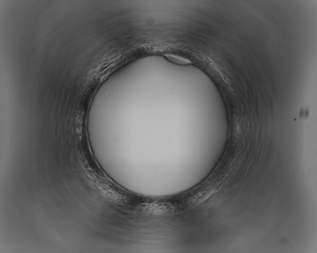 X0000088880545200706291606