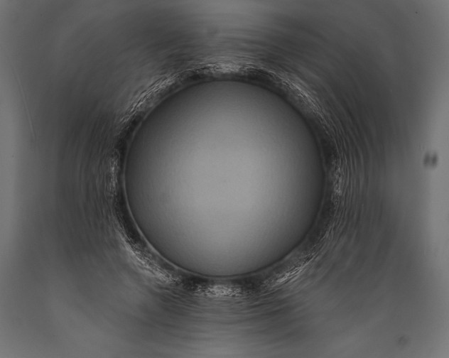 X0000088880546200706291606