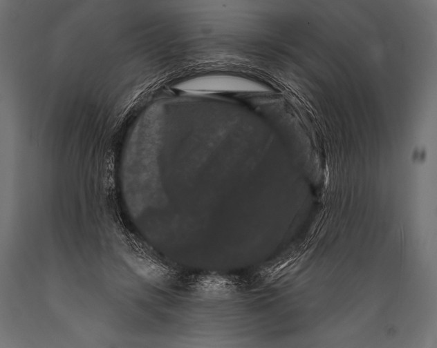 X0000088880547200706291606