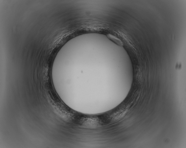 X0000088880548200706291606