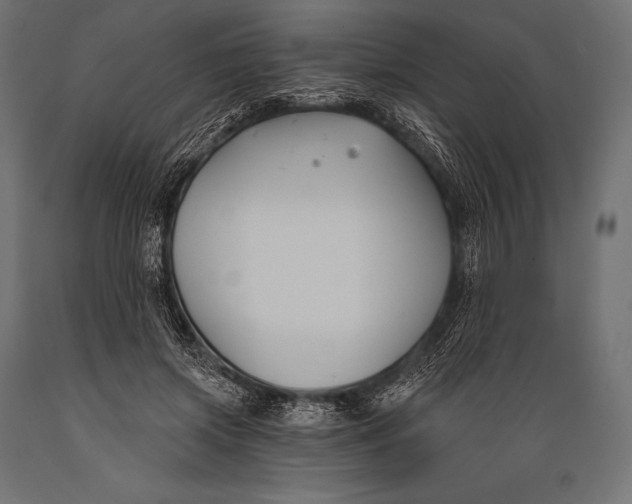 X0000088880549200706291606