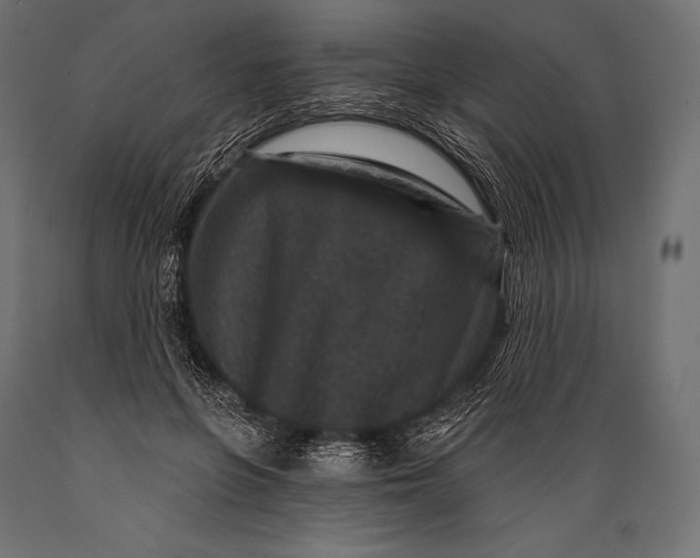 X0000088880551200706291606