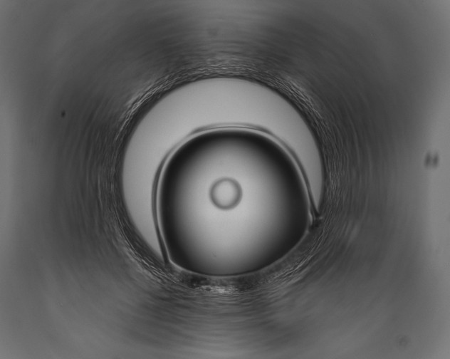 X0000088880552200706291606