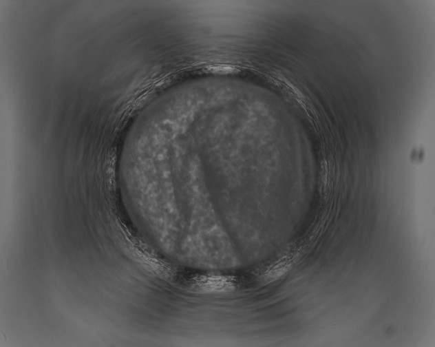 X0000088880553200706291606