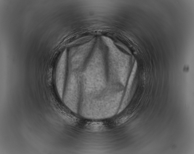 X0000088880554200706291606