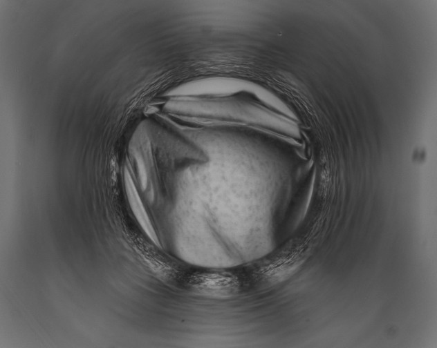 X0000088880555200706291606