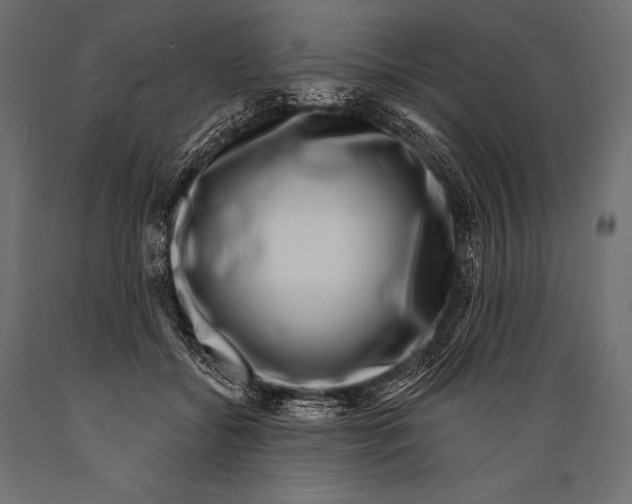 X0000088880556200706291606