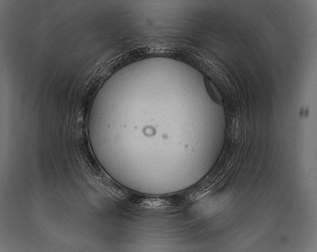 X0000088880557200706291606