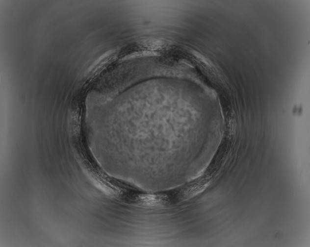 X0000088880558200706291606