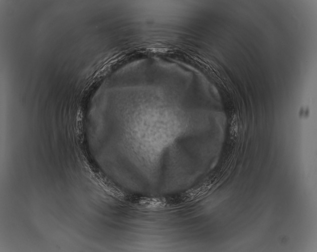 X0000088880559200706291606