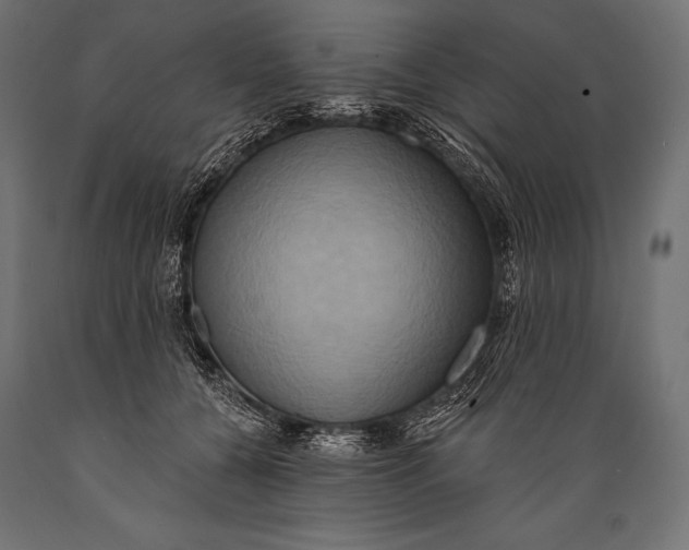 X0000088880560200706291606