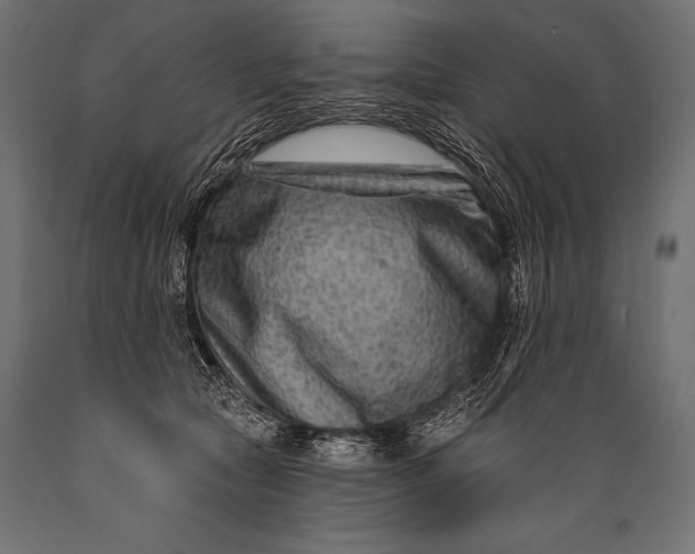 X0000088880561200706291606