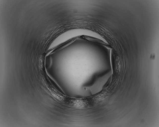 X0000088880562200706291606