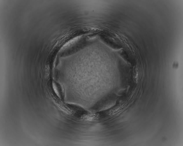 X0000088880563200706291606